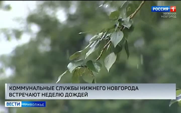 Непогода задержится в Нижегородской области до конца этой недели