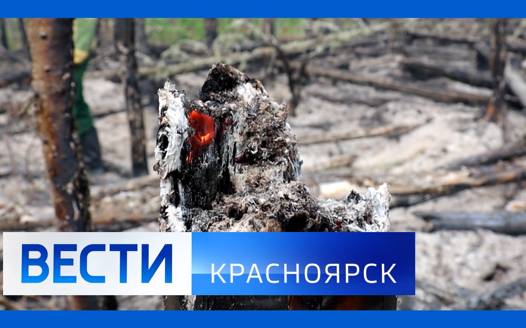Эфир от 15.06.2026