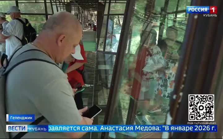 В Сафари-парке в Геленджике проснулись медвежата