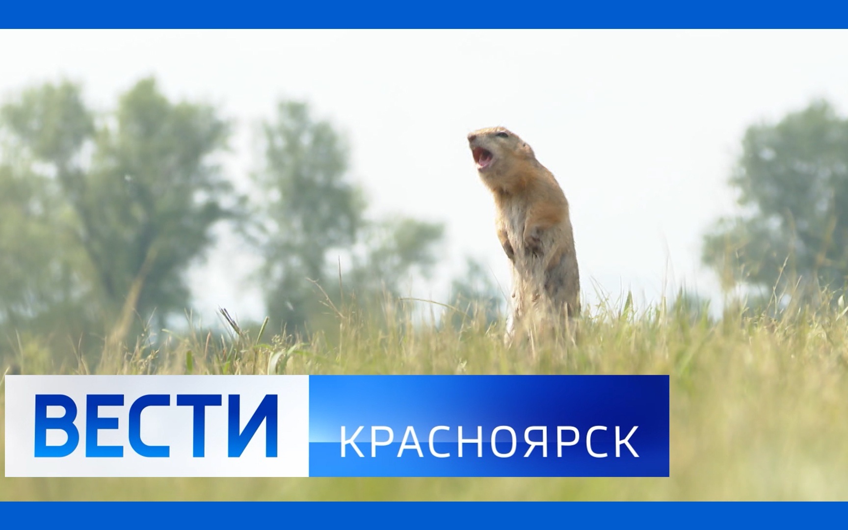 Эфир от 16.06.2026
