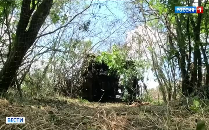Артиллеристы Д-20: снайперская точность на поле боя в Донбассе