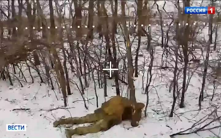 Студенты Ставрополя связались с бойцами БПЛА: телемост с фронта в Запорожье