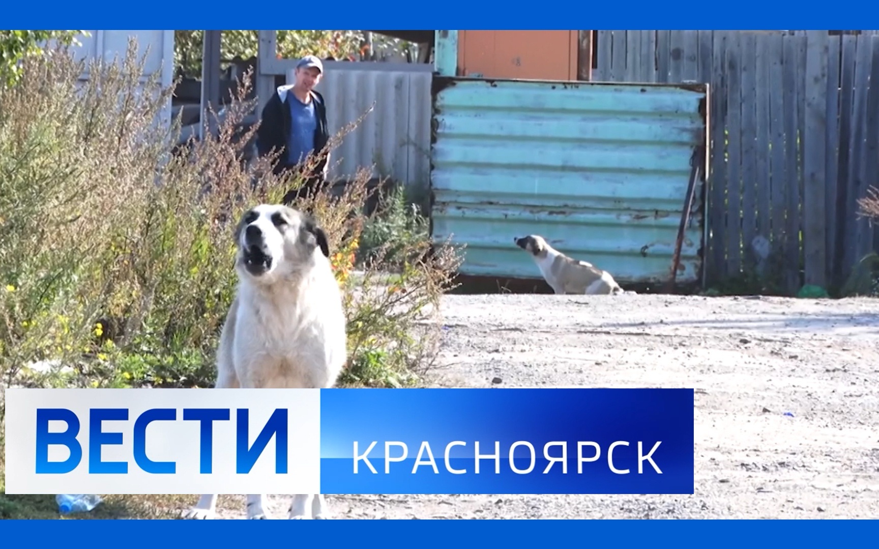 Эфир от 17.06.2026