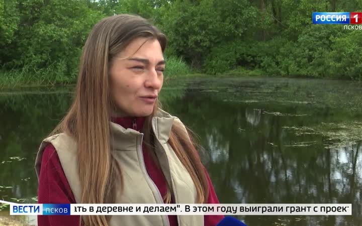 Без названия