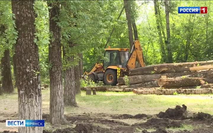 В Брянске благоустроят розарий на улице Комсомольской