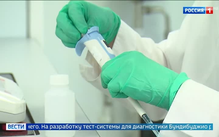 Российские тест-системы против эболы: борьба с вирусом в Африке