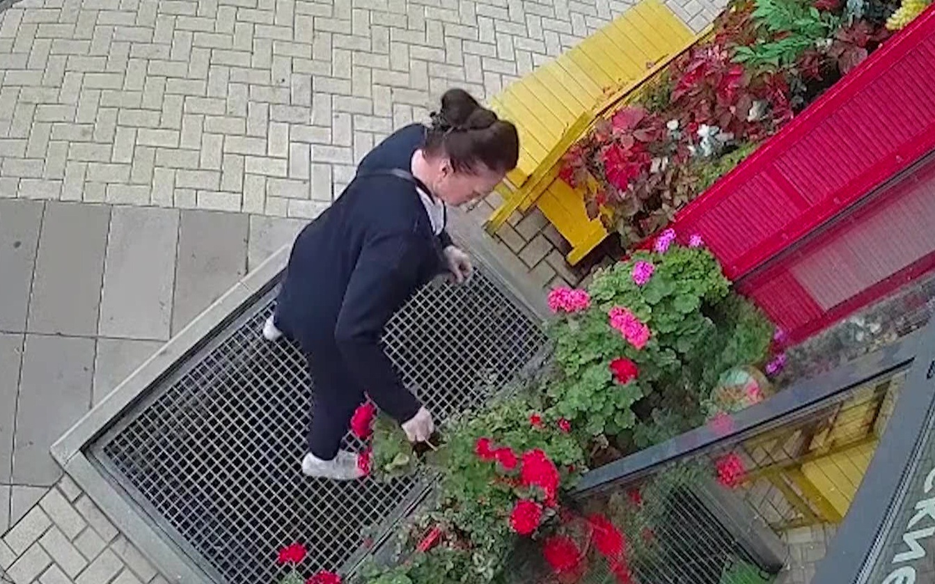 Вандалы продолжают разорять клумбы в московских дворах вопреки штрафам