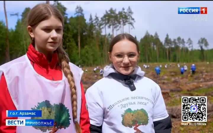 Посадки деревьев в рамках акции "Сад памяти" давно стали традицией для лесничеств Нижегородской области