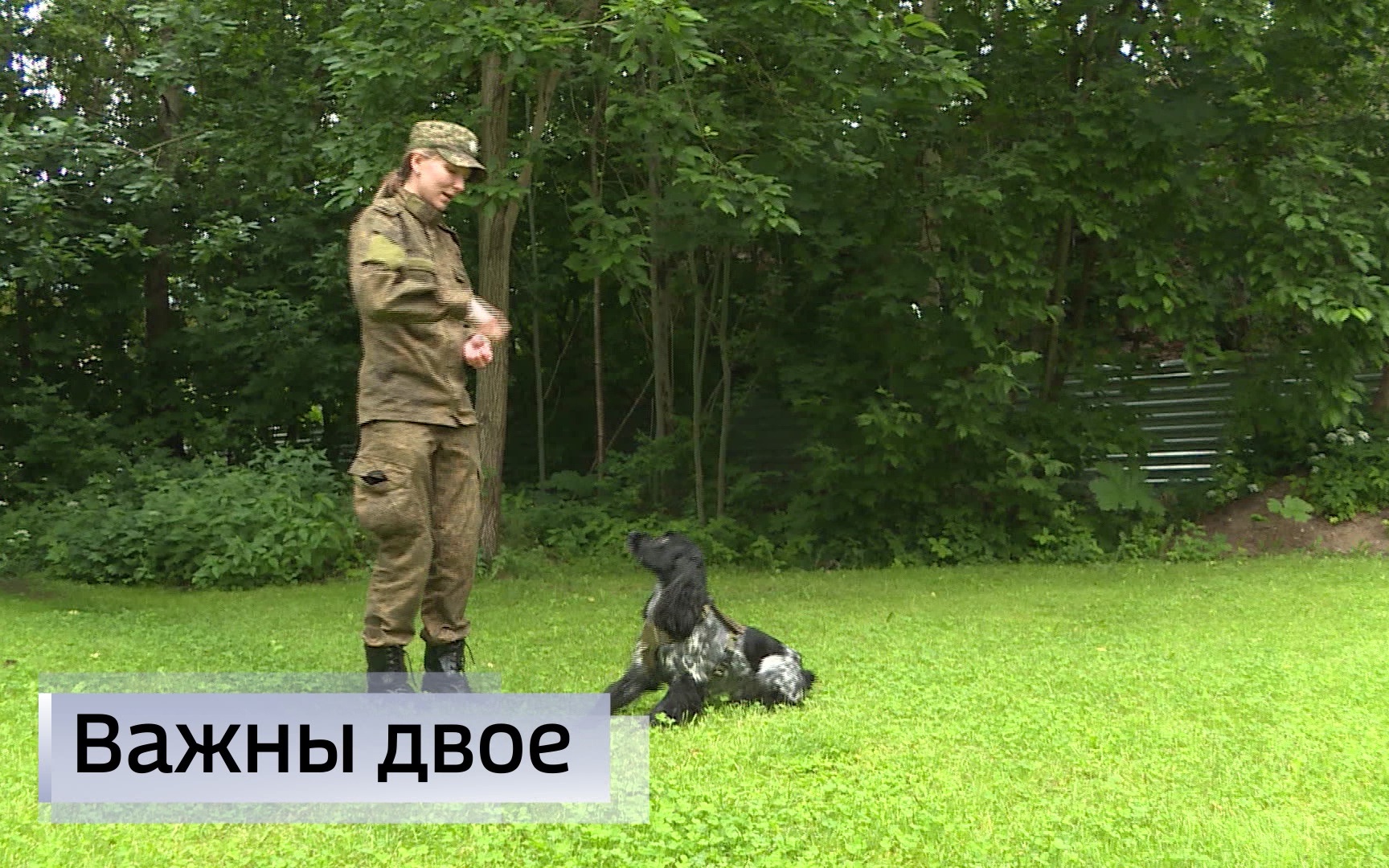 Эфир от 20.06.2026 (14:30)