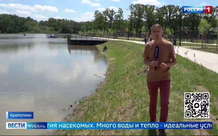 В Кропоткине настоящая комариная осада