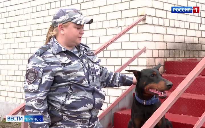 Более ста собак находятся на службе брянской полиции и таможни