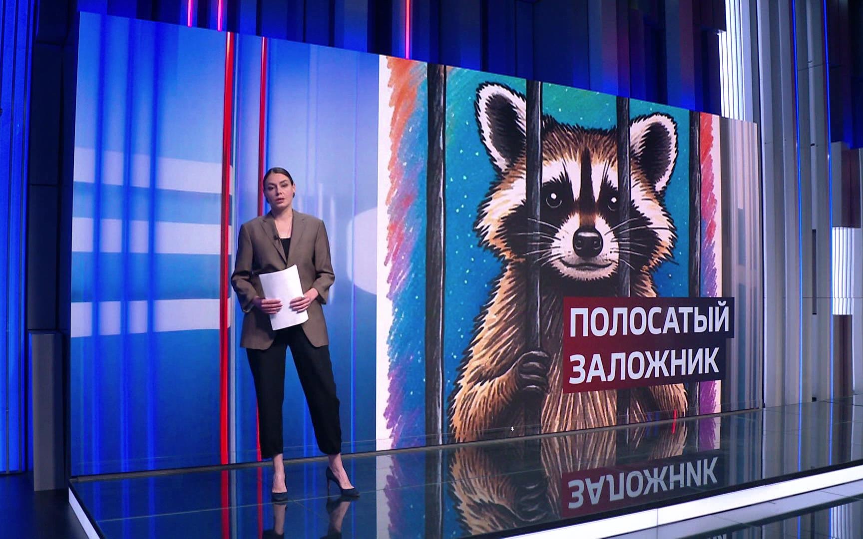 Эфир 24.06.2026 · 22:00