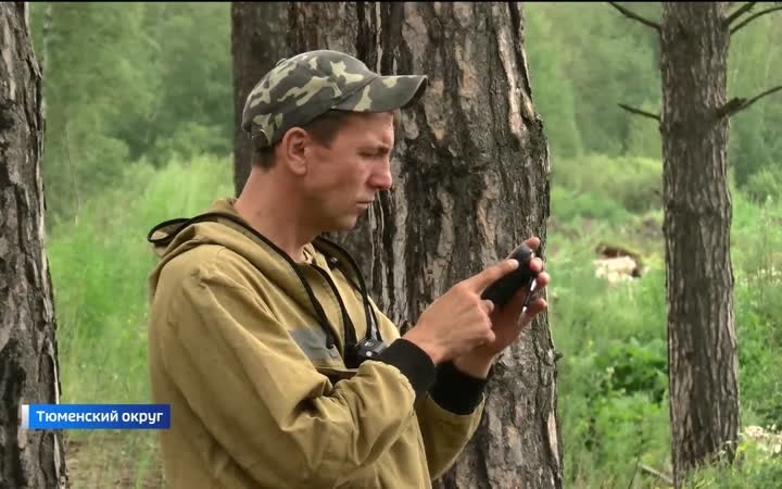 Незаконные свалки отходов обнаружены вблизи Тюмени