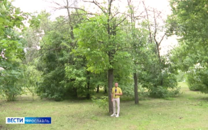 Эфир от 25.06.2026 (09:30)