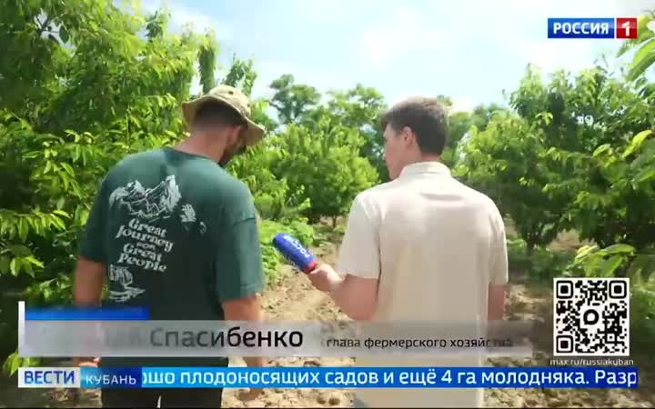 Лето на Кубани - время щедрых урожаев