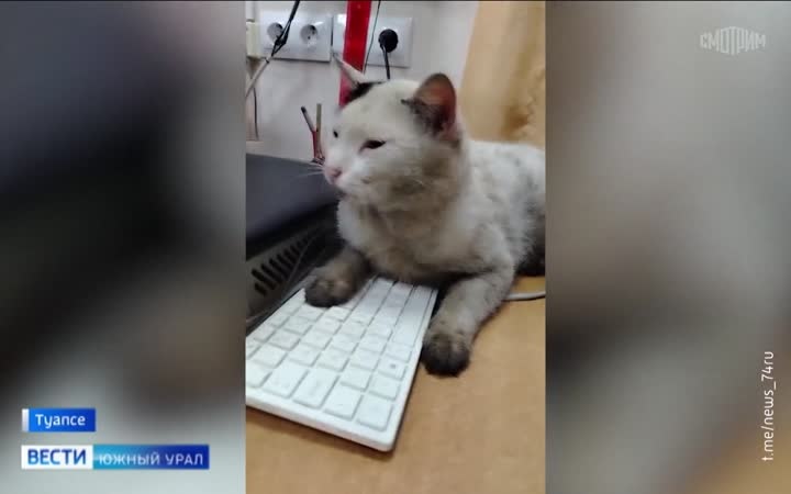 Голосование за участников проекта "Необычные люди" идет в Челябинской области