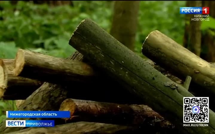 4 класс пожароопасности лесов и торфяников введён в Нижнем Новгороде