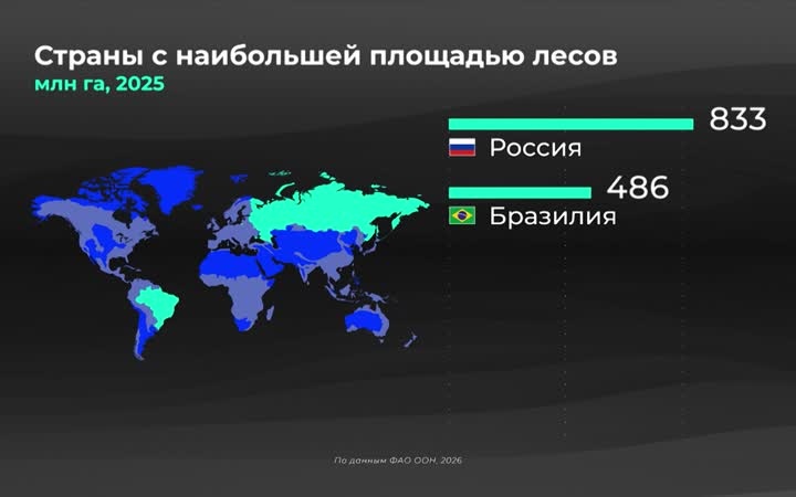 Мир в цифрах. Где больше всего лесов?