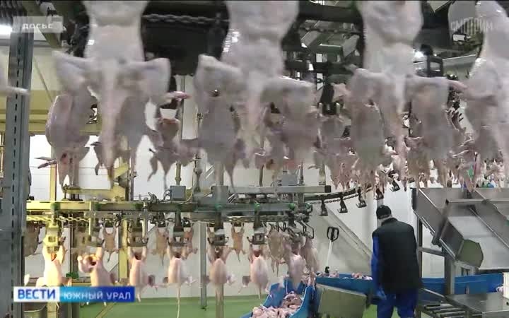 Китай скупает куриные лапки в Челябинской области