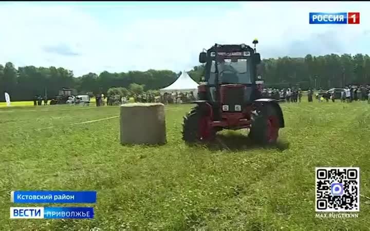 Чем удивила агропромышленная выставка "День поля"?