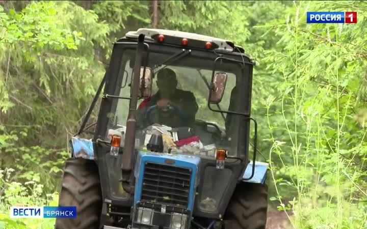 Лесничества и арендаторы сохраняют леса Брянской области