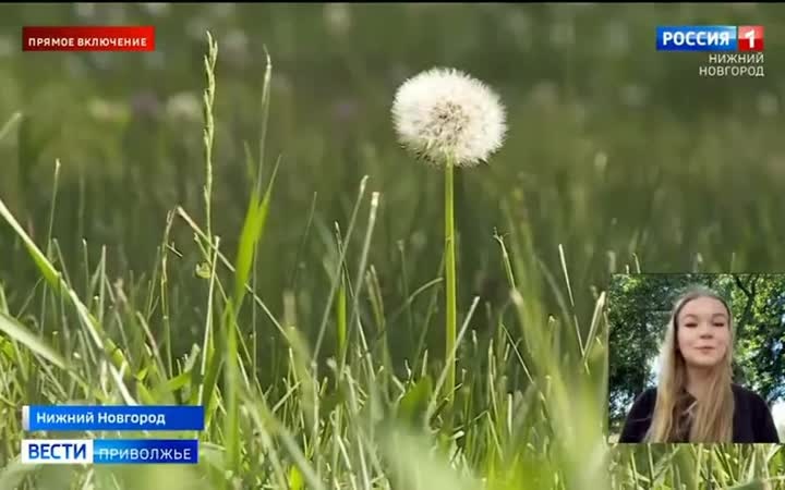 На этой неделе в Нижегородской области будет по-настоящему жарко