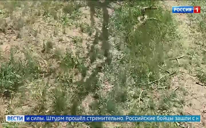 Штурмовики группировки "Восток" захватили Писанцов в Днепропетровской области