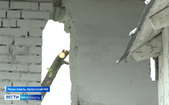 Жители села в Переславль-Залесском округе жалуются на массовый спил деревьев