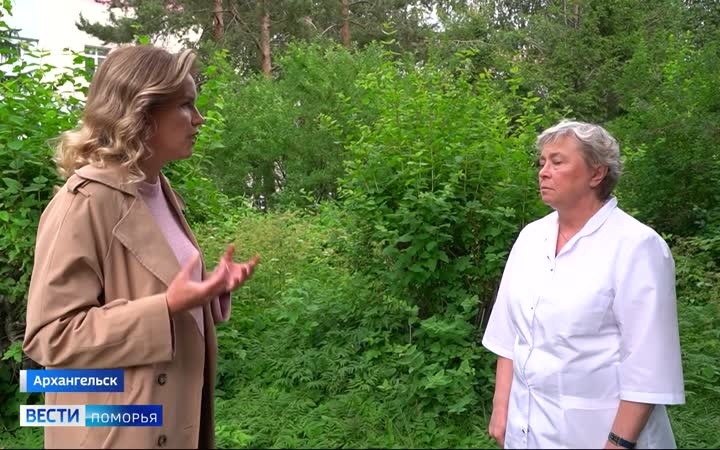 Жители Архангельской области жалуются на нашествие насекомых в этом сезоне
