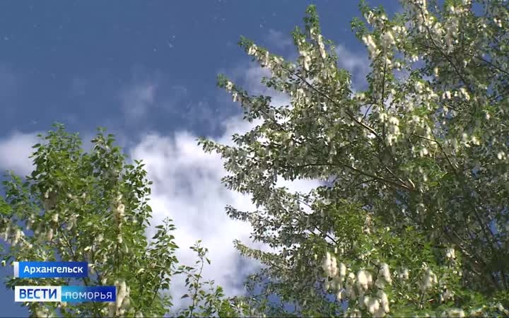 В Поморье на смену солнцу придут дожди и грозы