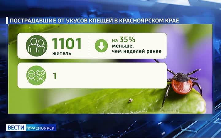 Первый случай заболевания эрлихиозом после укуса клеща зафиксирован в крае