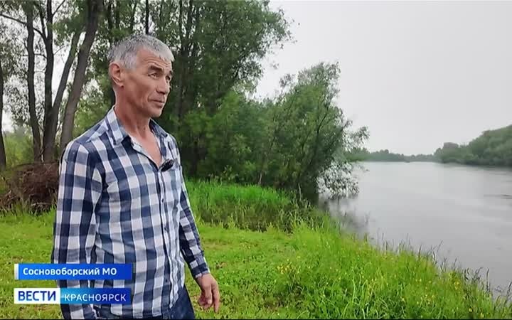 Под Сосновоборском сточные воды из города загрязняют реку Есауловка