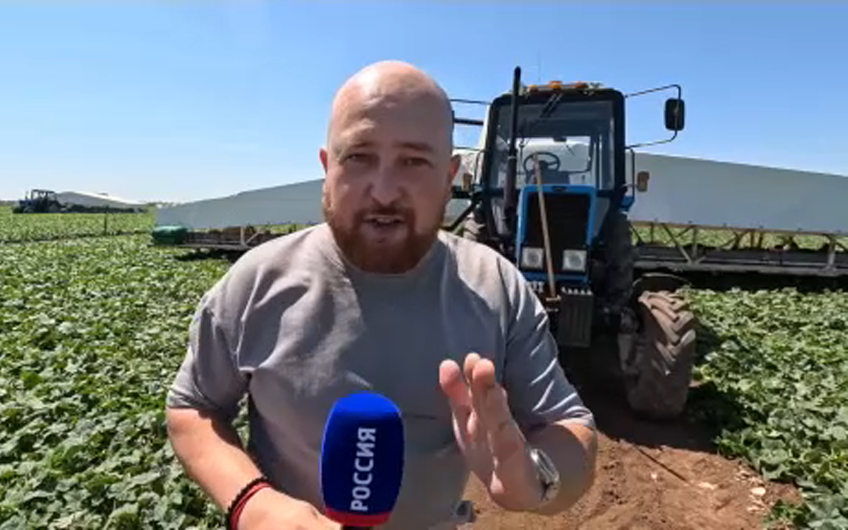 Волгоградские овощеводы начали сбор огурцов на специальных летающих платформах