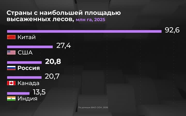 Россия в цифрах. Где преобладают высаженные леса ?
