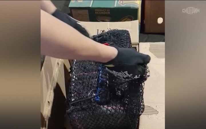 Кокаин в замороженном тунце: ФСБ ликвидировала международный канал поставок наркотиков на миллиарды рублей