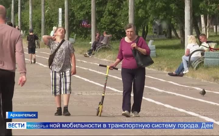 Бензина не требуют, но проблем с ними немало