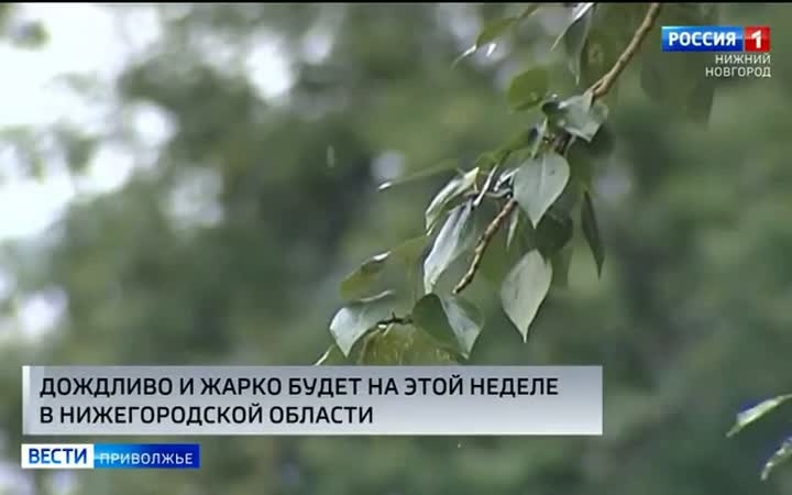 Эта неделя в Нижегородской области будет дождливой