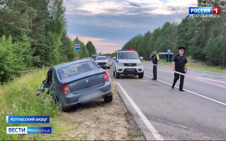 Уголовное дело по факту смертельного ДТП возбуждено в Котласском округе