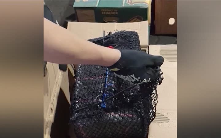 ФСБ раскрыла канал поставки полутонны кокаина из Латинской Америки в Россию