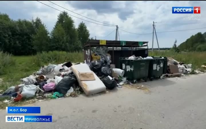 Режим повышенной готовности из-за несанкционированных свалок продолжает действовать в Борском округе