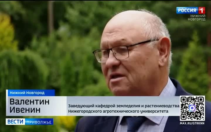 За растение на своей территории можно получить штраф до 700 тысяч рулей