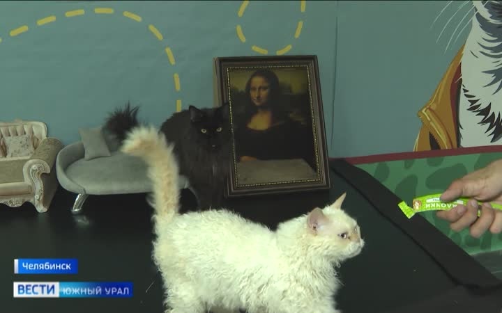 Эфир от 08.07.2026 (21:10)