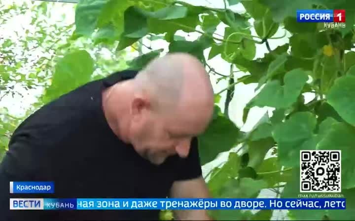 Для многодетных семей на Кубани есть многочисленные льготы