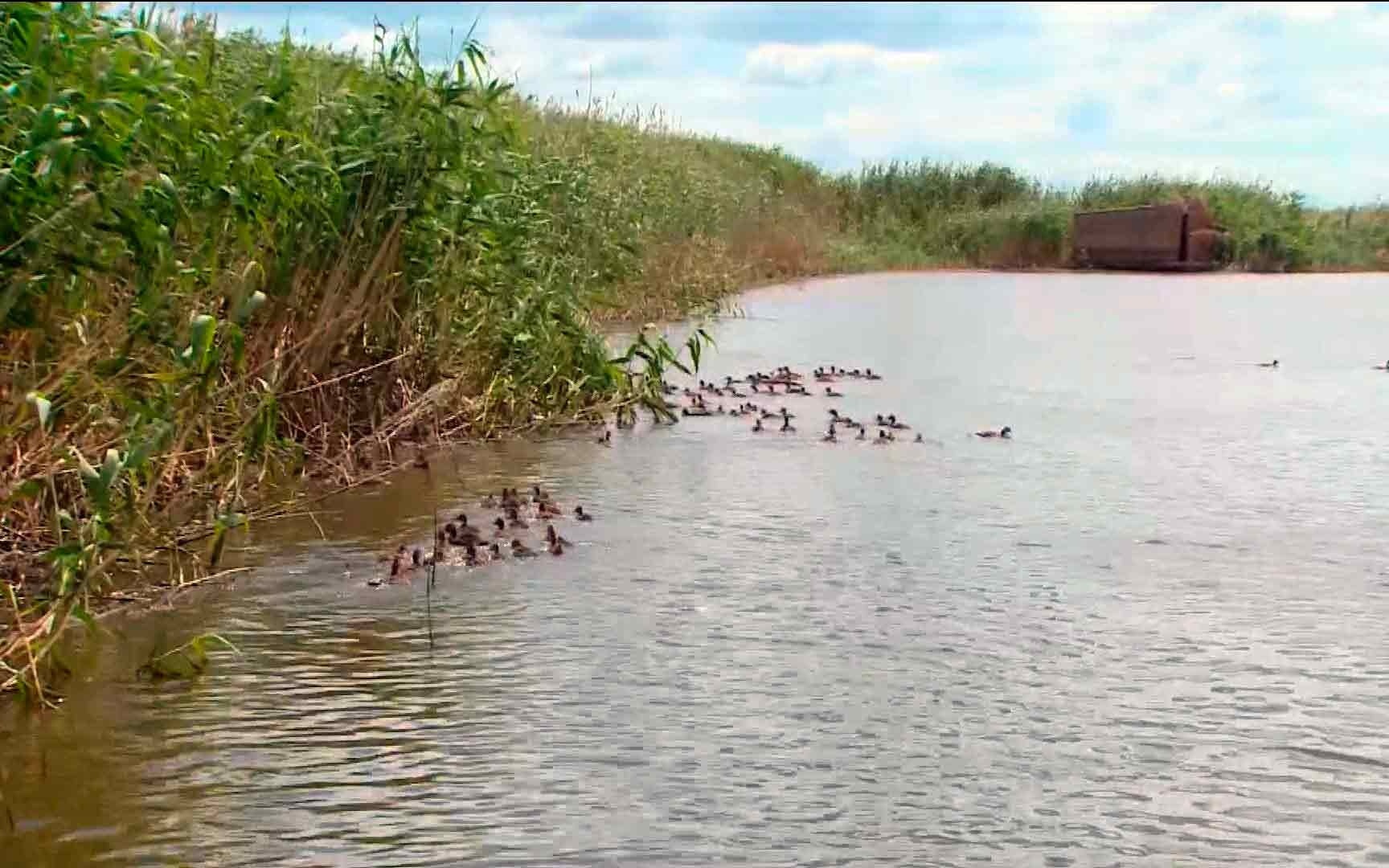 Эфир от 12.07.2026 (08:00)