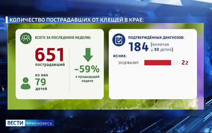 Активность клещей в регионе идёт на спад