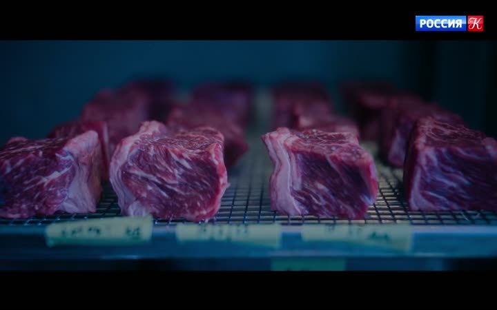 Чем закончился сериал "Медведь"?