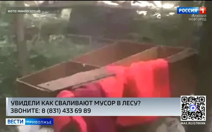 Кадры с фотоловушки