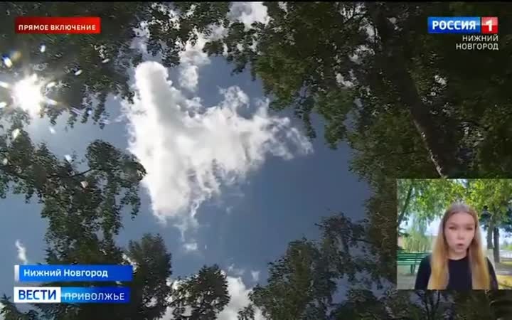 Синоптики предупреждают - эта неделя будет дождливой