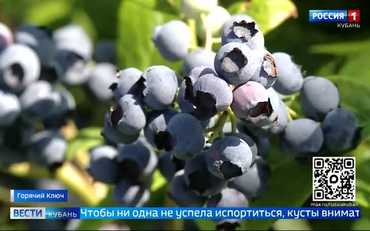 Эфир от 13.07.2026 (11:30)
