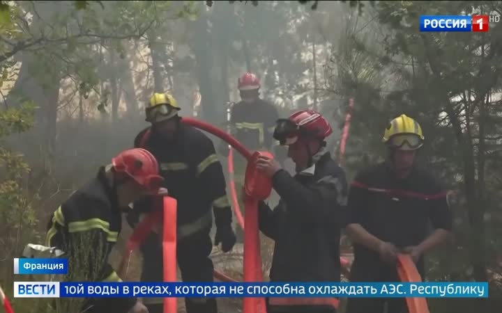 Рекордная жара в Европе: тысячи жертв и угроза продовольственному рынку